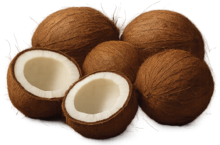 COCONUT