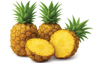 PINEAPPLE