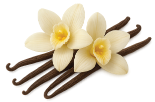 VANILLA
