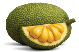 jackfruit