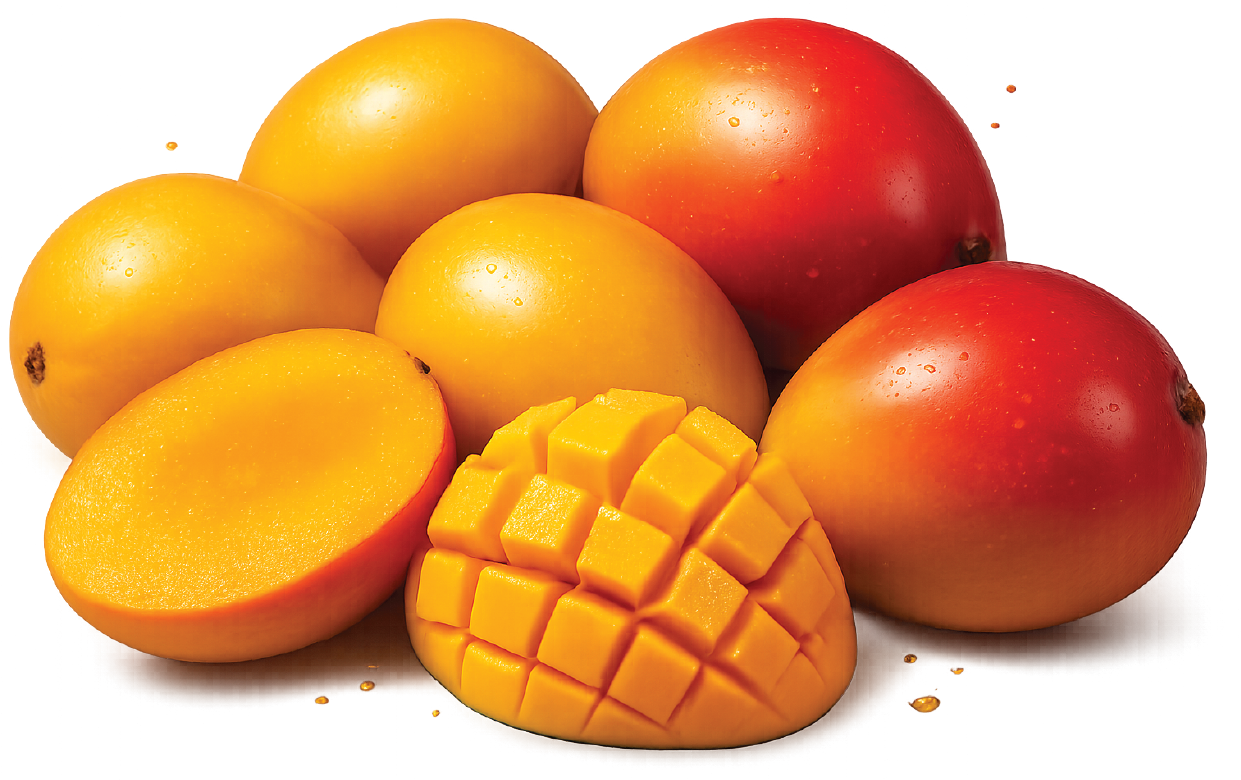 mango flavour-01