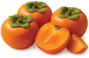 persimmon
