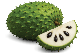 soursop